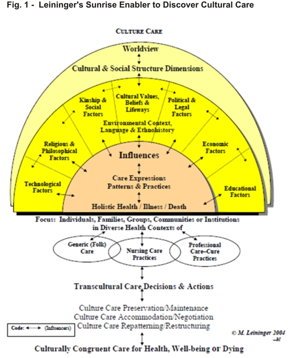 Understanding Leininger s Theory Of Transcultural Nursing