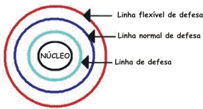 View of Application of Neuman nursing process in the identification of  stressors presents in the daily after mastectomy: a qualitative study |  Online Brazilian Journal of Nursing