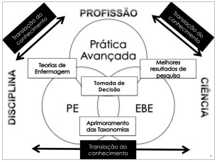 Figura 1