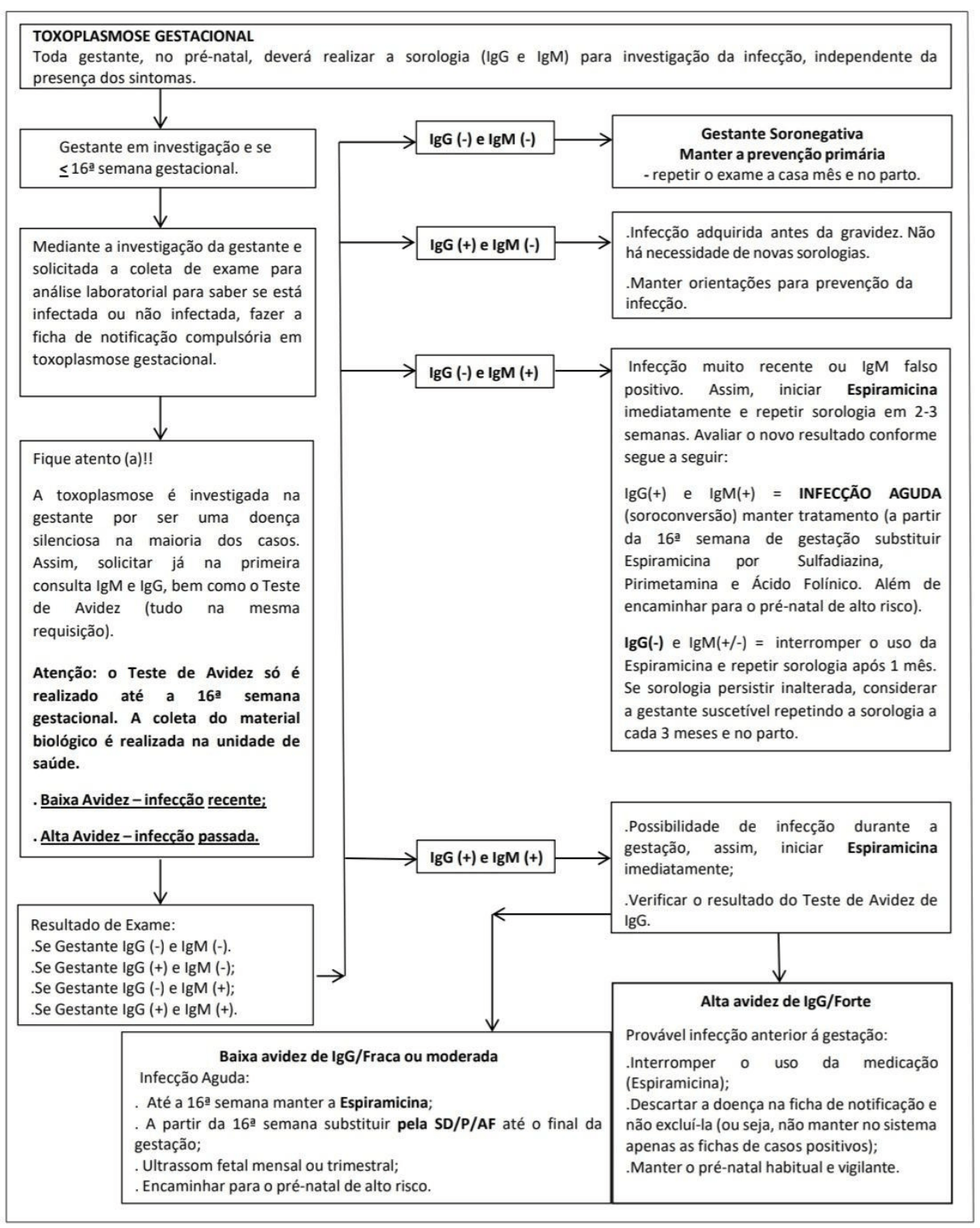 Diagrama
O conteúdo gerado por IA pode estar incorreto.